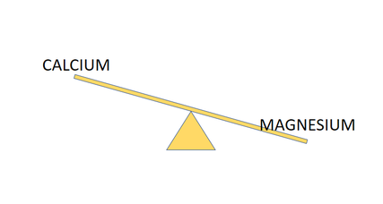 Magnesium Or Calcium Drscottmonk